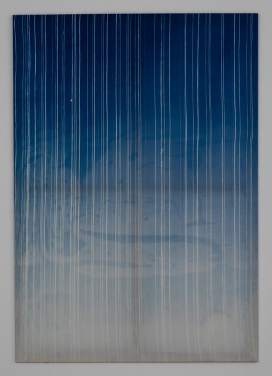 Thin Lines (cyanotype)