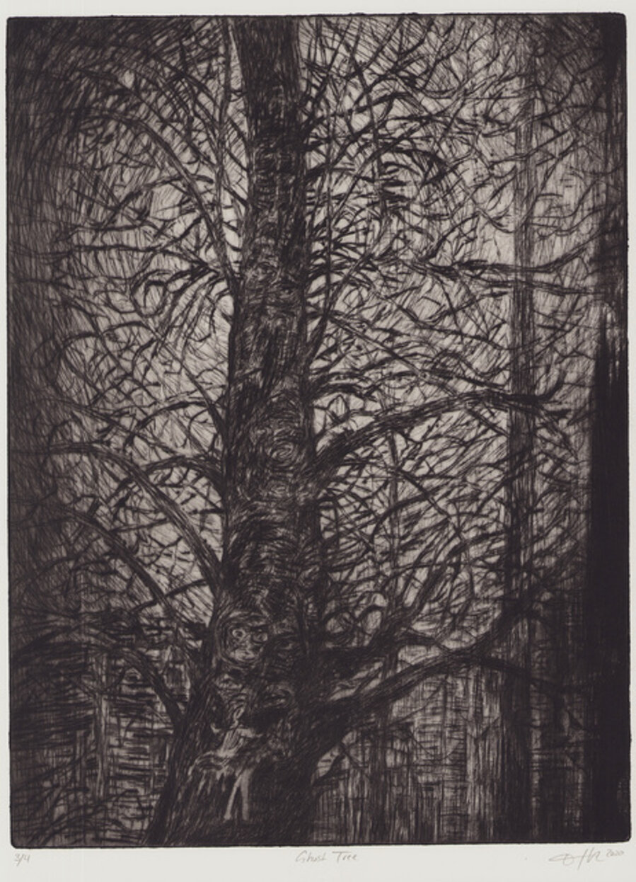 Ghost Tree