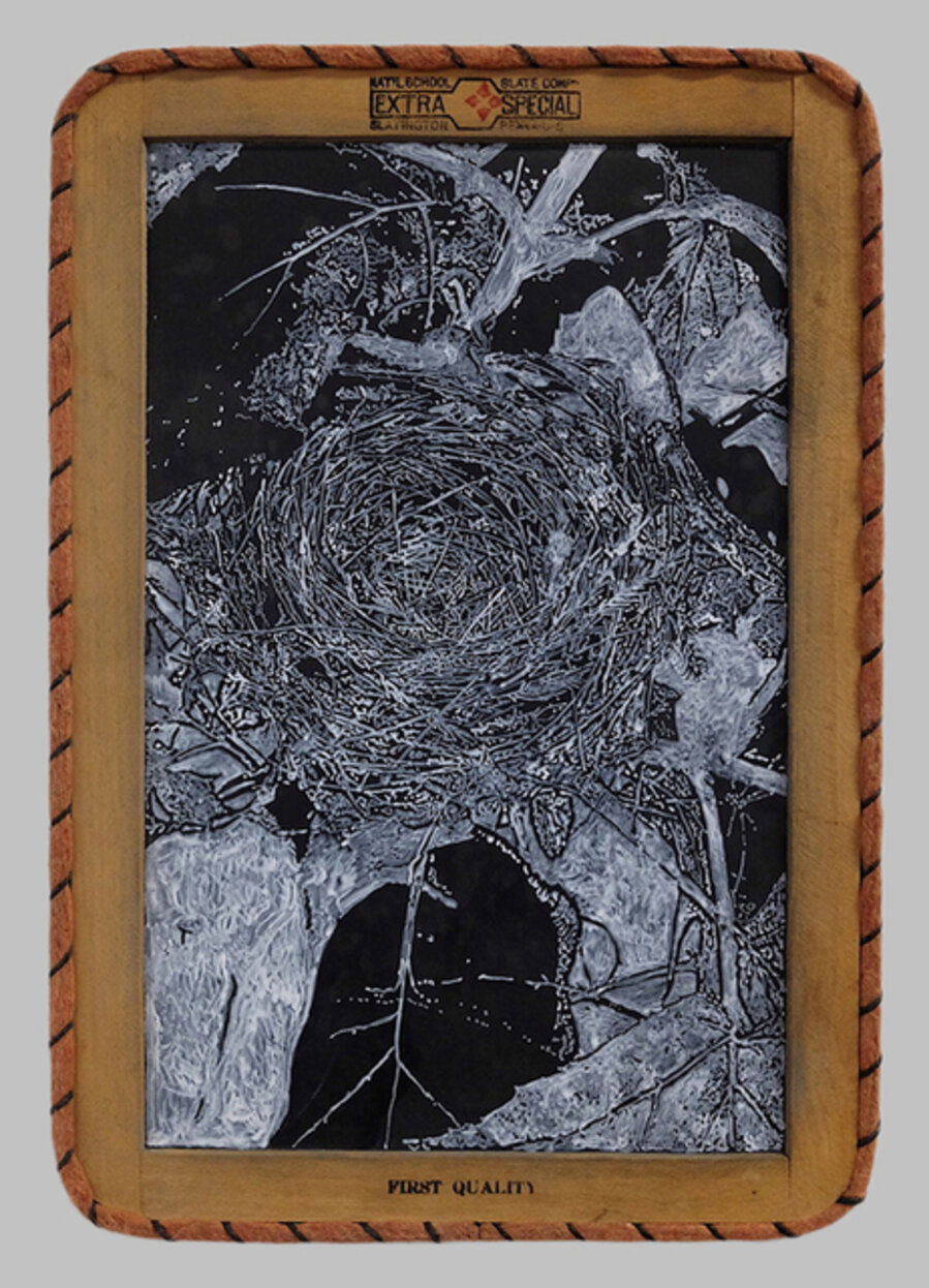 Nest 1