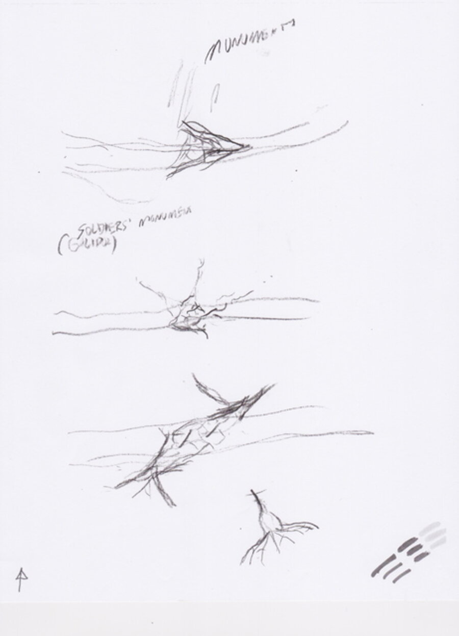 Sketch for a Bridge in Tasmania V