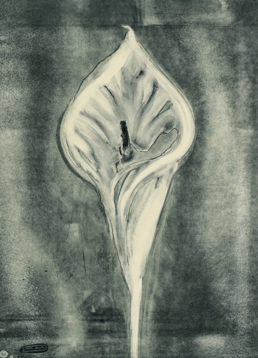 Suite of Three Works: Calla Lilly 4, alternatively titled Amanda's Folly, Calla Lilly 1, alternatively titled Sentinel/Single Calla, and Calla Lilly 3, alternatively titled Calla & Leaf