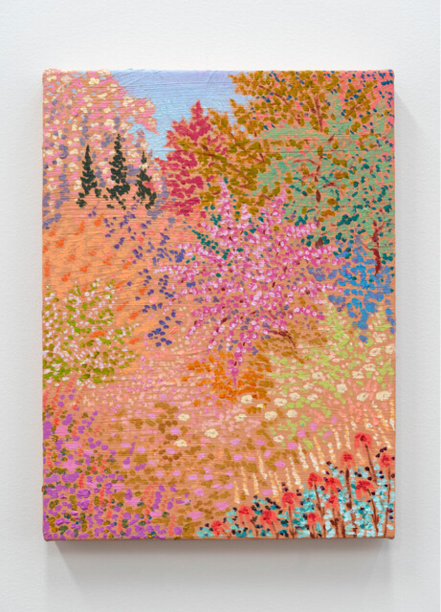 Wilds wandered glitter glade