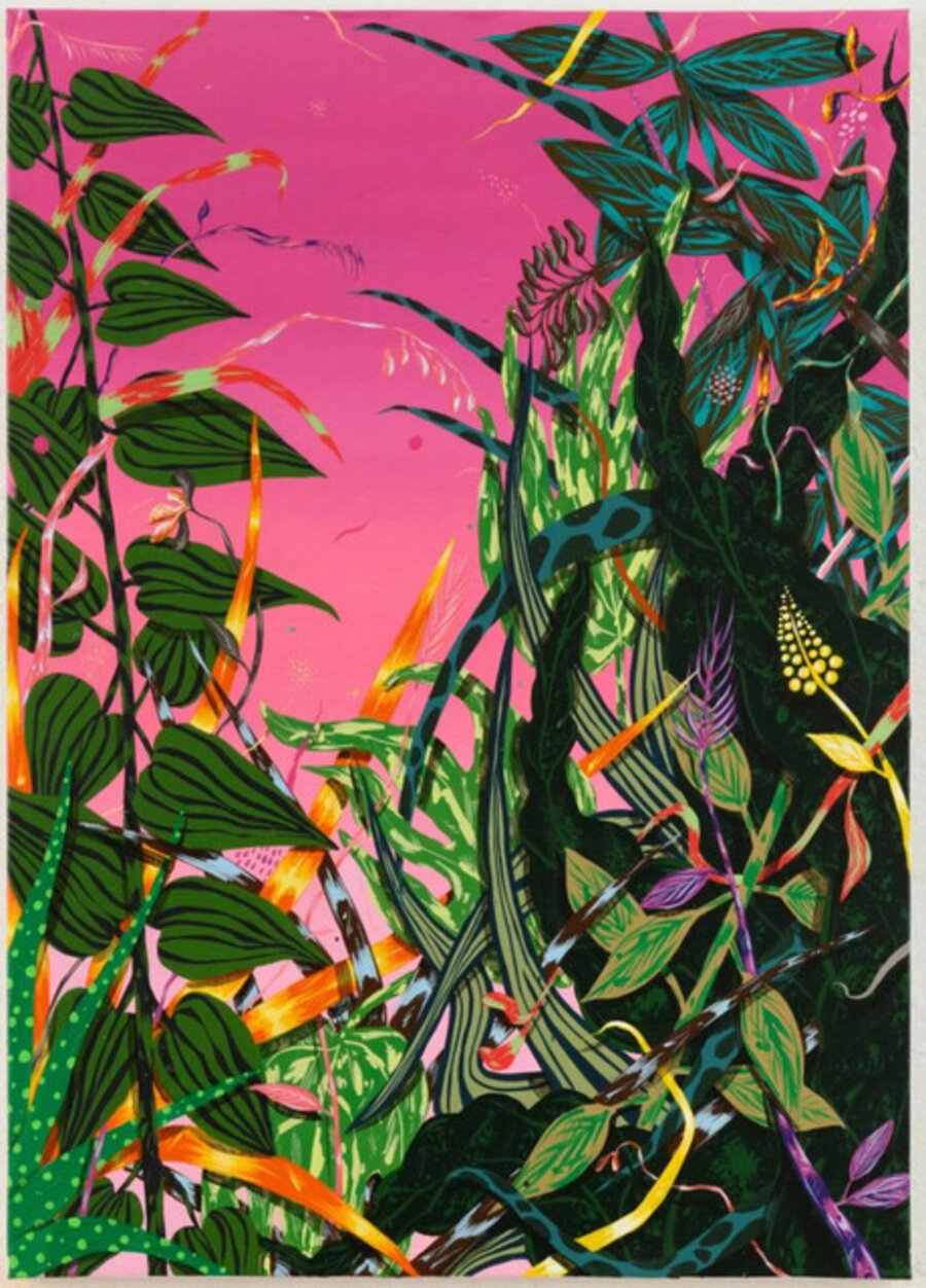 Wild Frontier 8