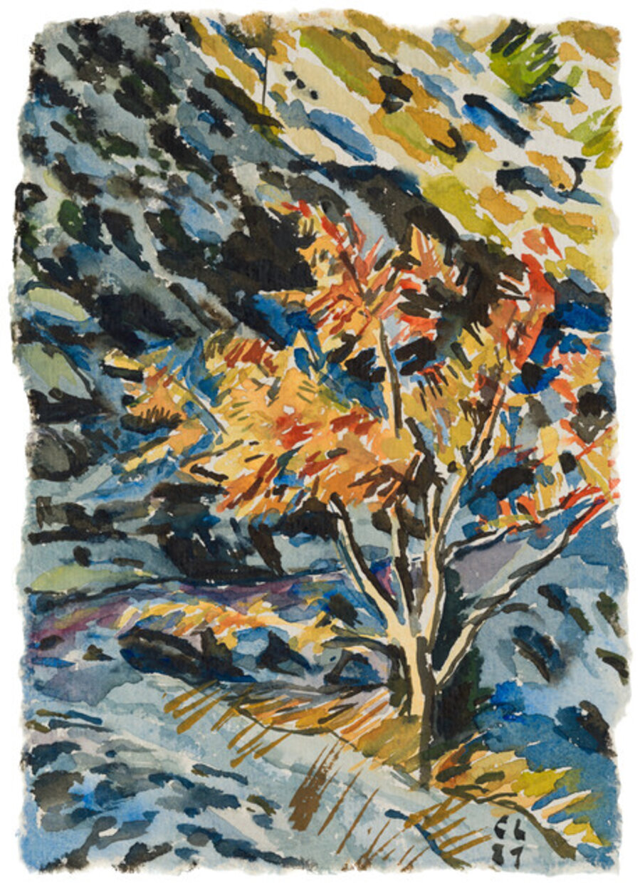 Herbstbaum vor Schnee