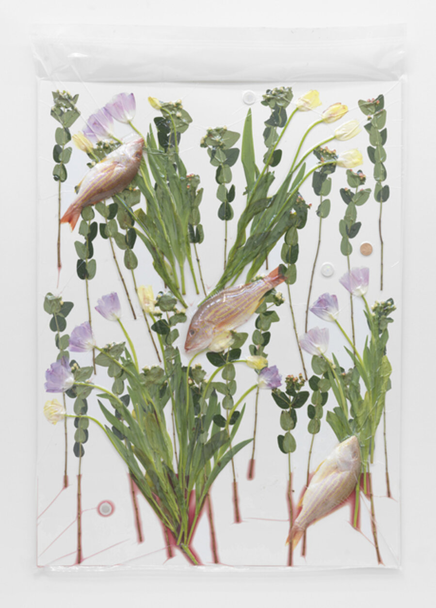 3 Fish, Flowers, 3 Crypto Vest Litecoins, 1 AOCS Copper Round