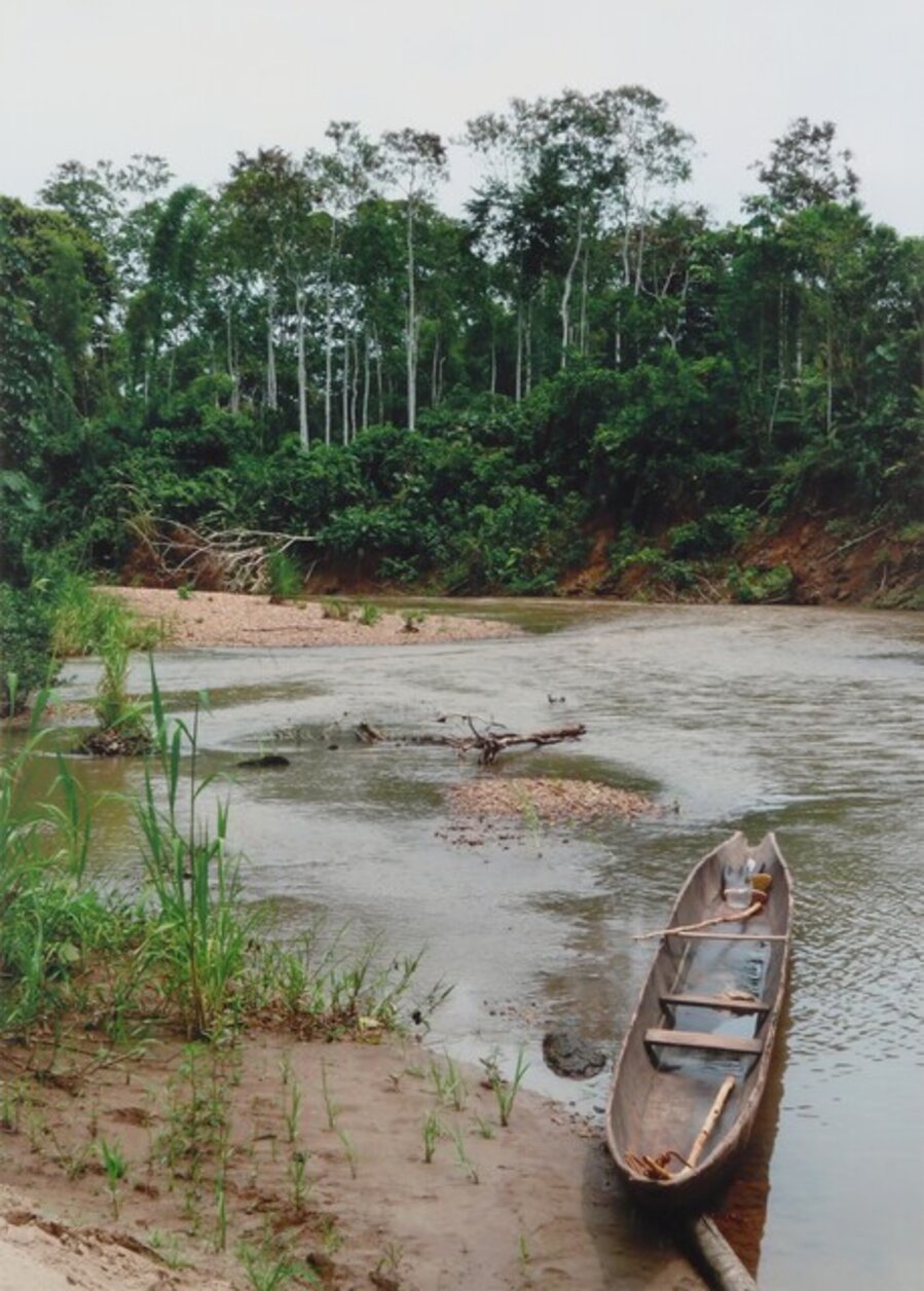 The Trip, The Amazon