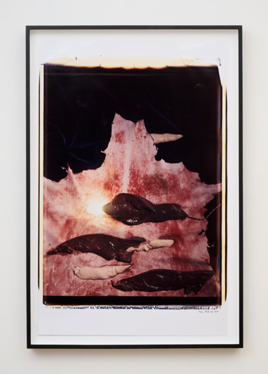 Meat Abstract No. 3: Liver