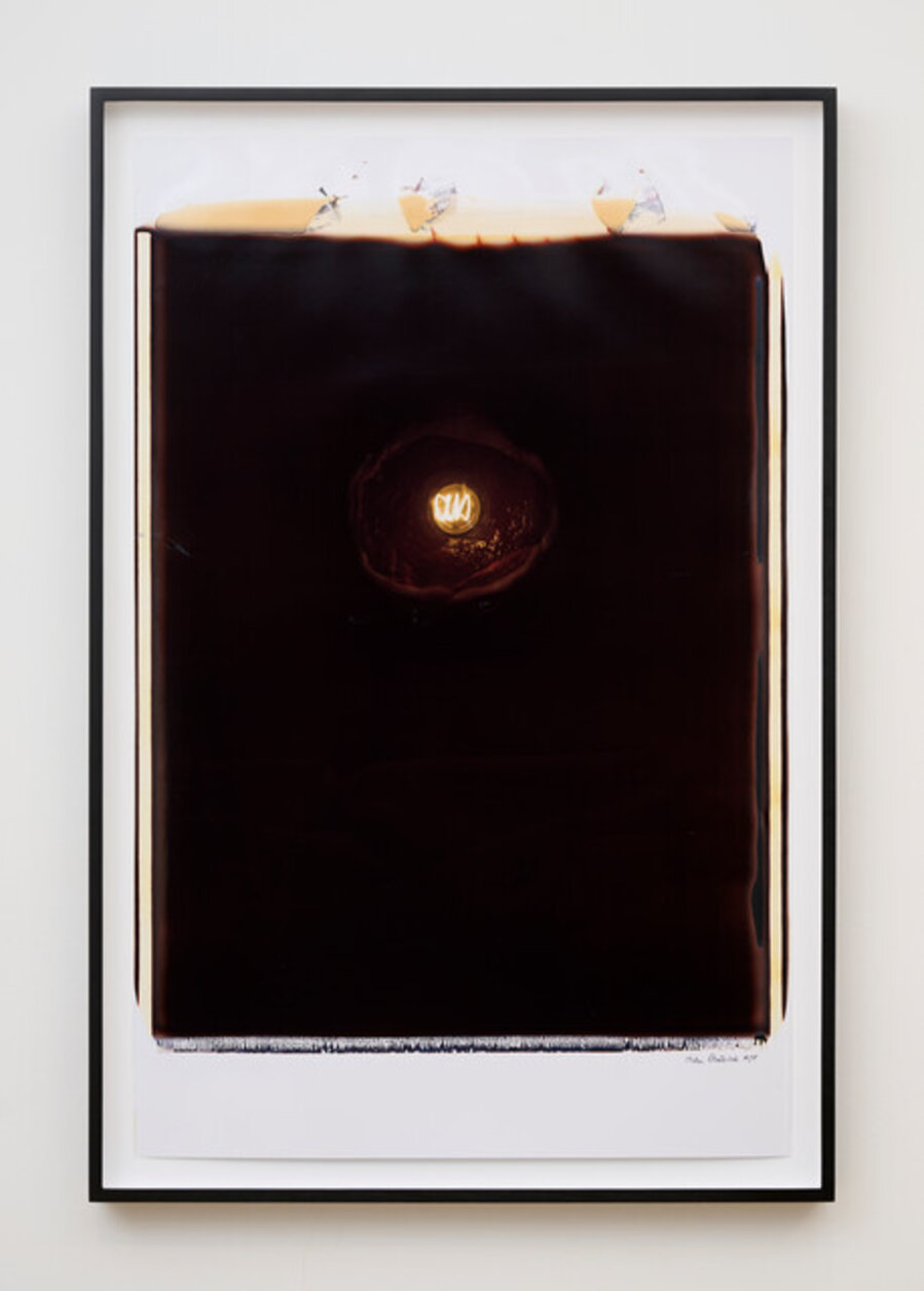 Meat Abstract No. 1: Black Sun