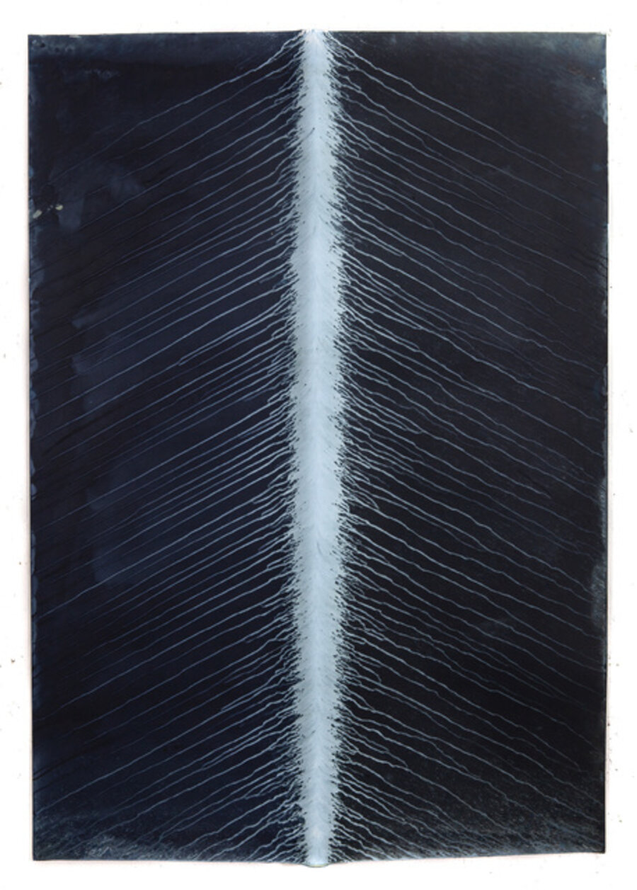 Ecotone #440 (Bainbridge Island, WA 06.21.18 Solstice Drizzle, Draped on Car + Pole)