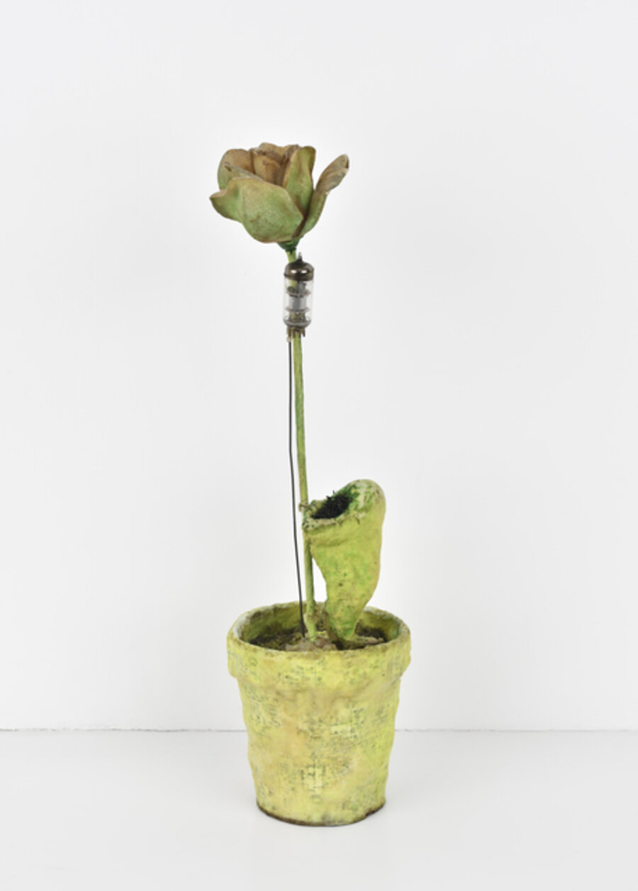 Souvenir la Mue - For nostalgic purpose - For your living room