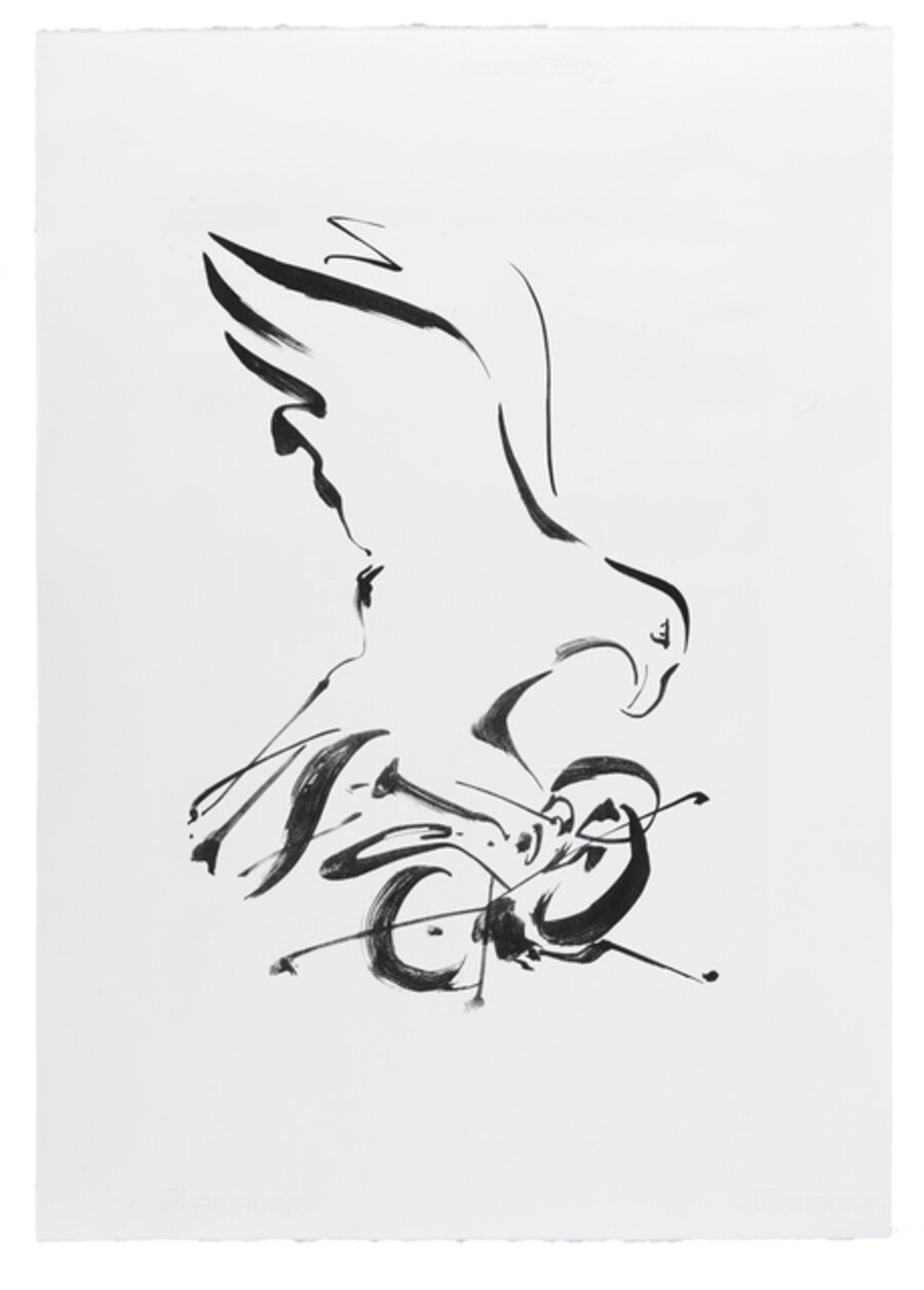 Aquila Non Capit Muscas