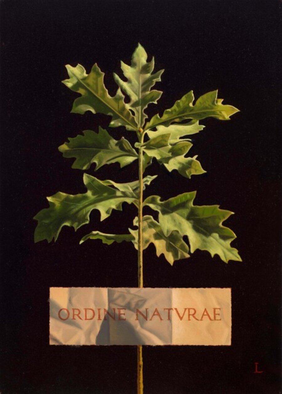 ORDINE NATURAE (The Order of Nature)