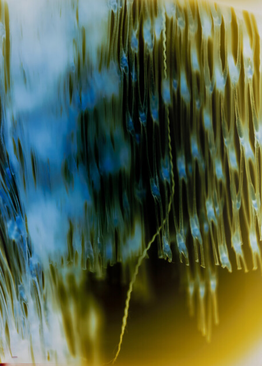 Synapse, 13:18
