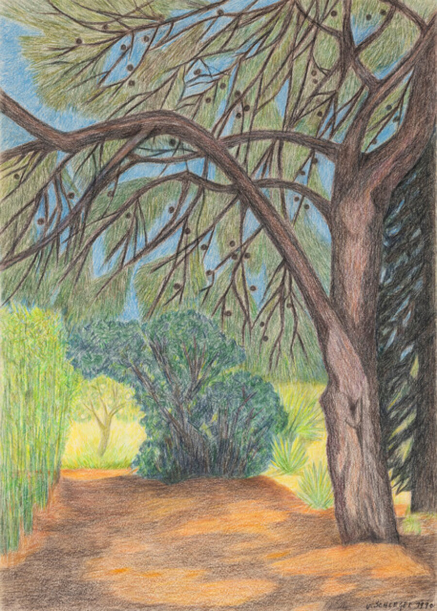 Untitled (Tree in the Garden)