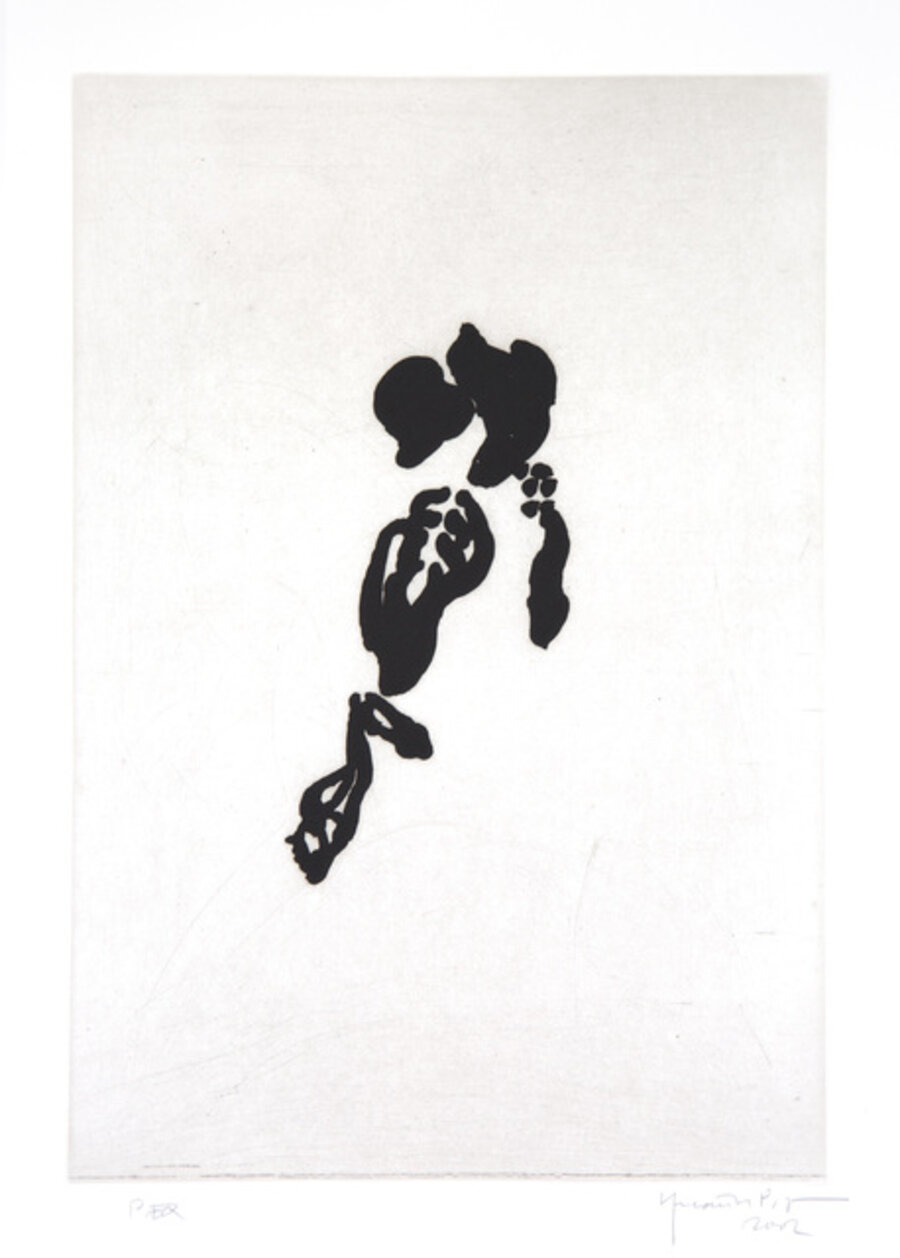 Iris Negre II