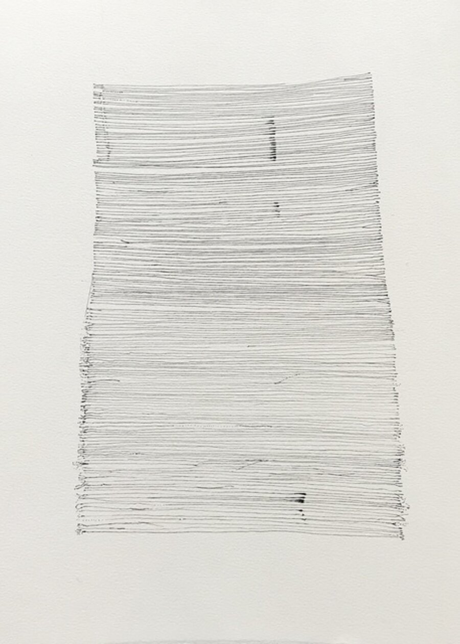 Study #5