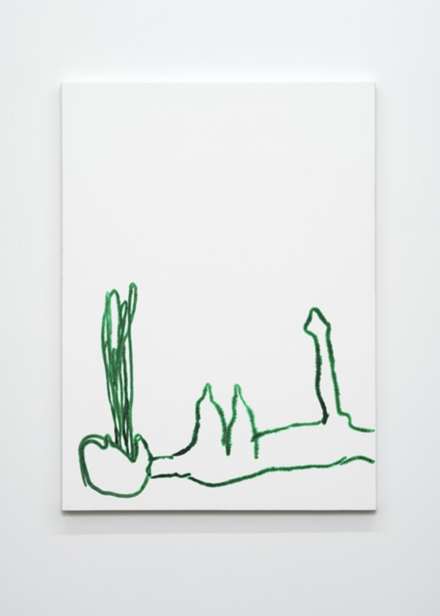 Untitled 1 (vomit/boobs/dick)
