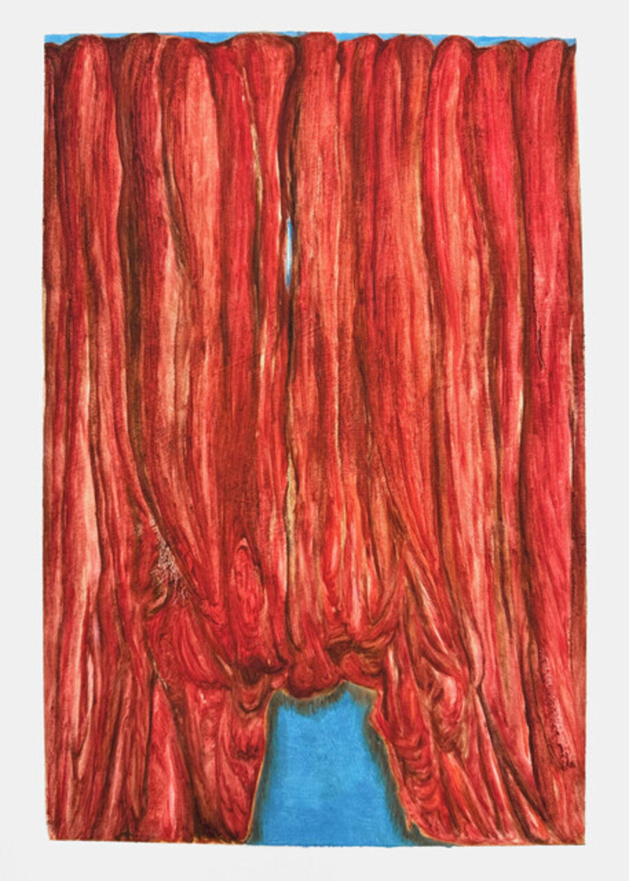 Curtain