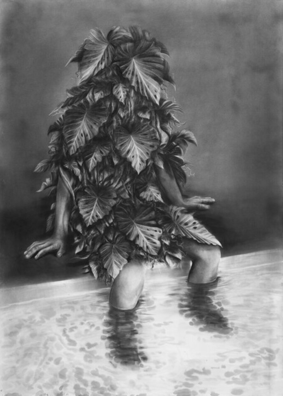 Tropical Martyr