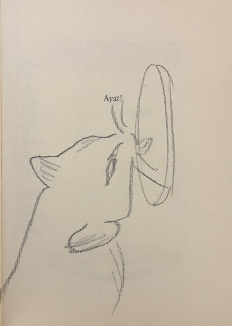 Ayai