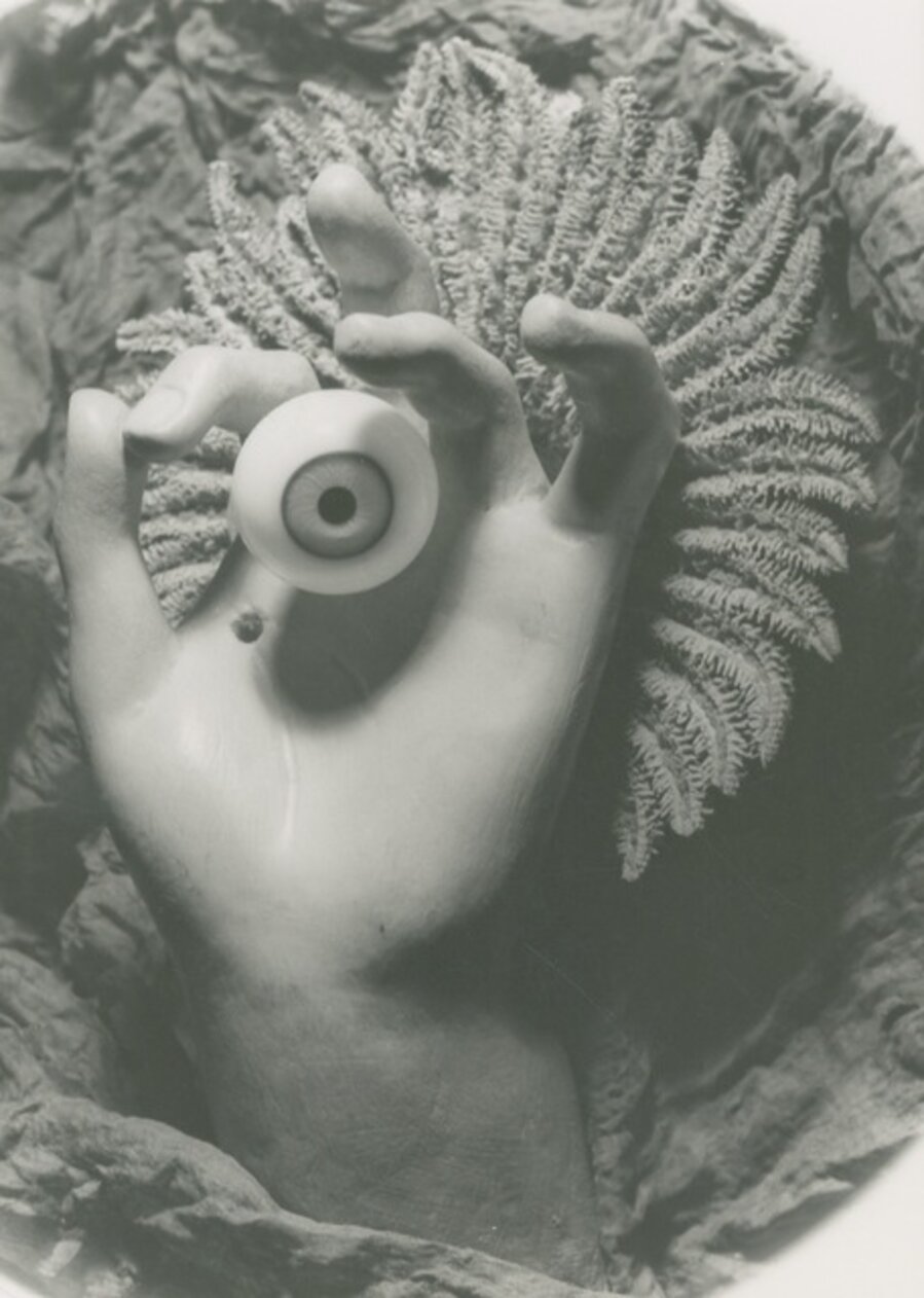Eye