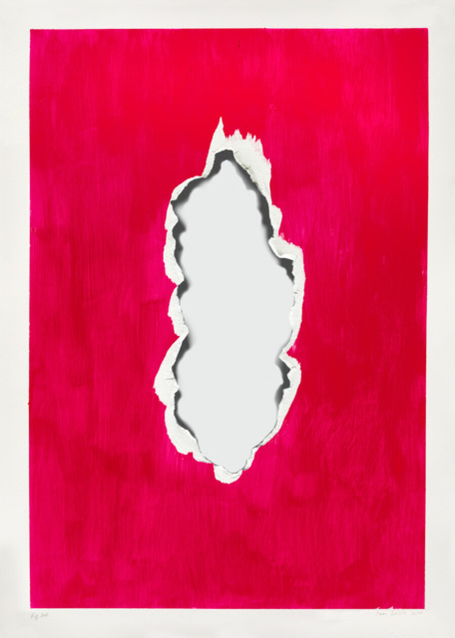 Fig 301