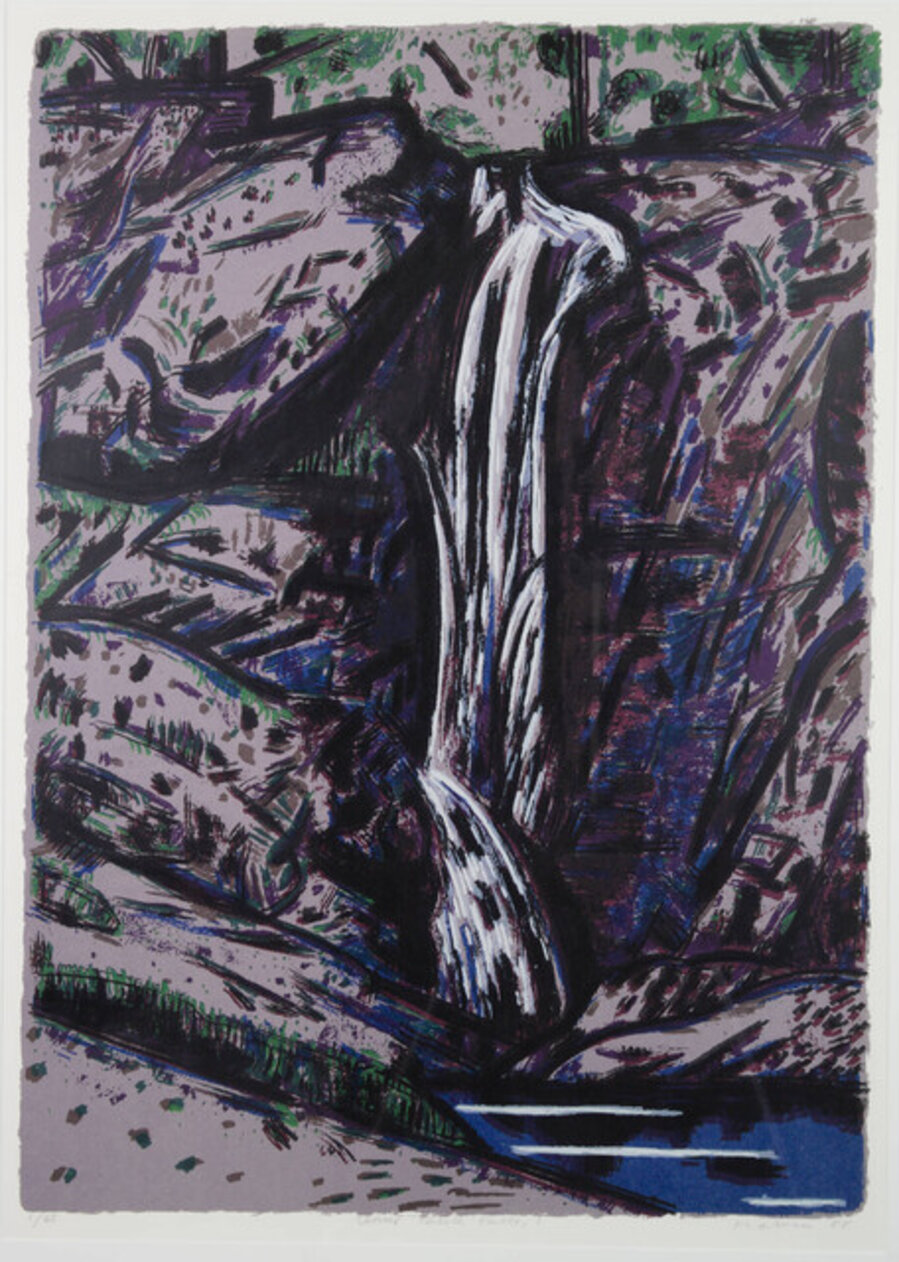 Cedar Creek Falls I