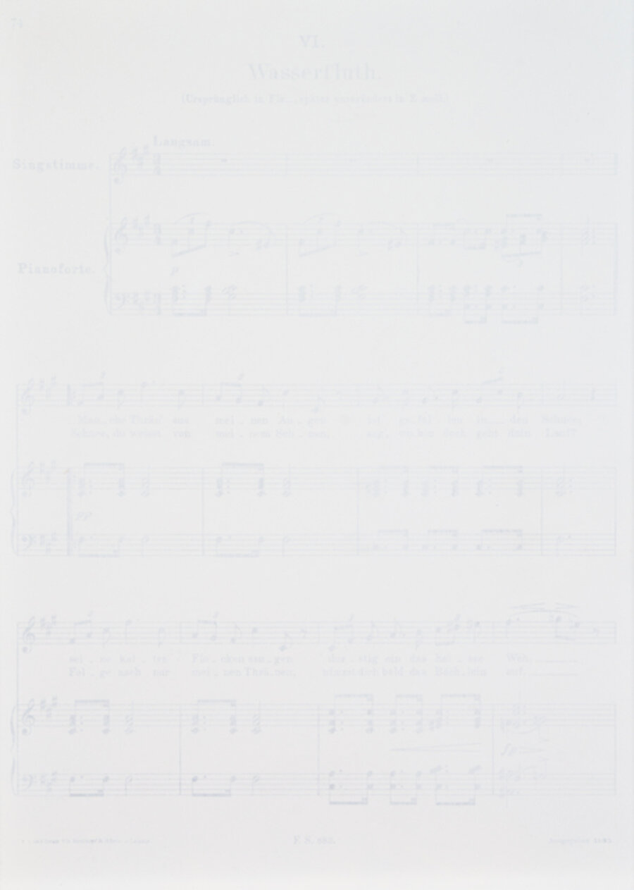 Winterreise - Wasserfluth