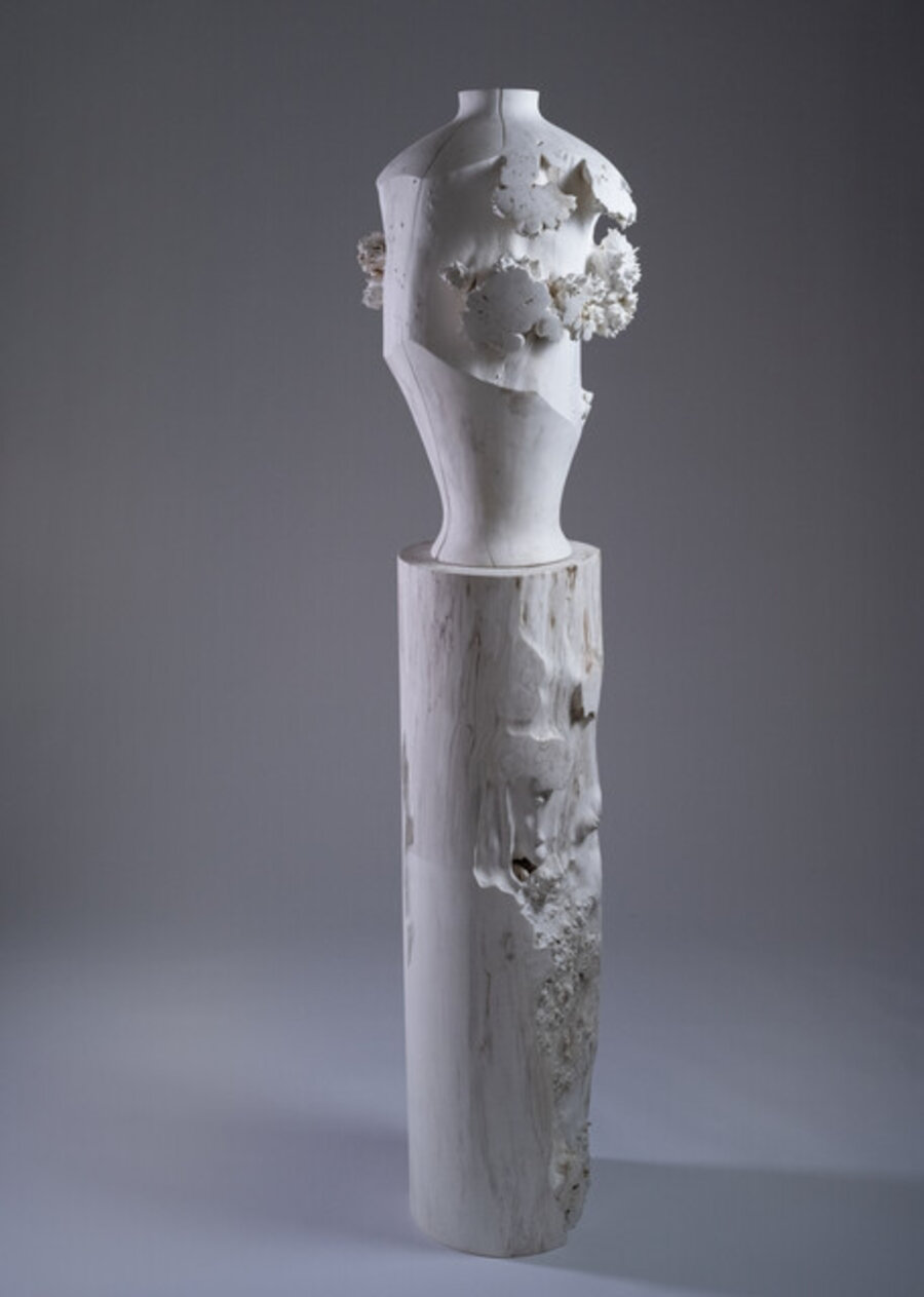 Sentinel #1