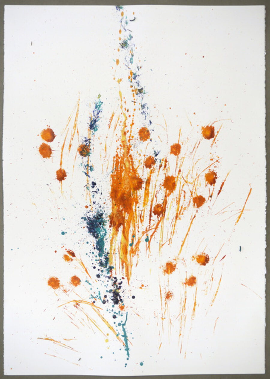 Unrejected wild flora