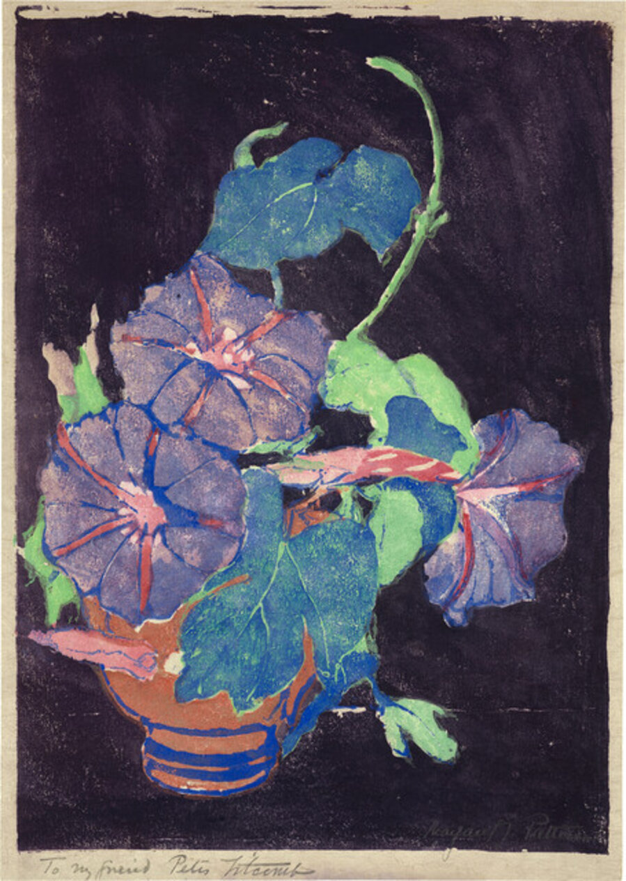 Morning Glories
