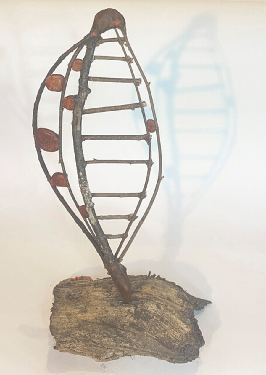 Twigs- Large Oval