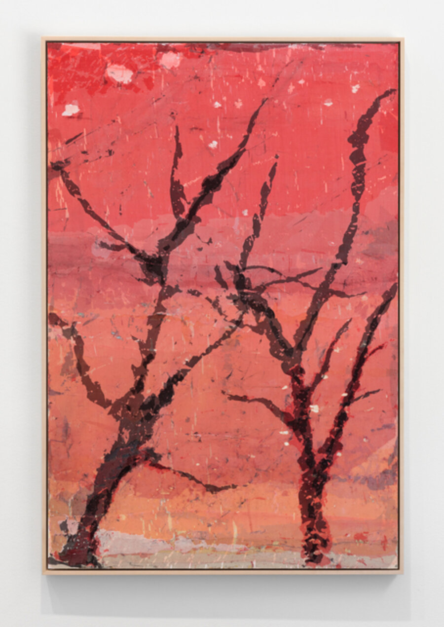 Plum Trees