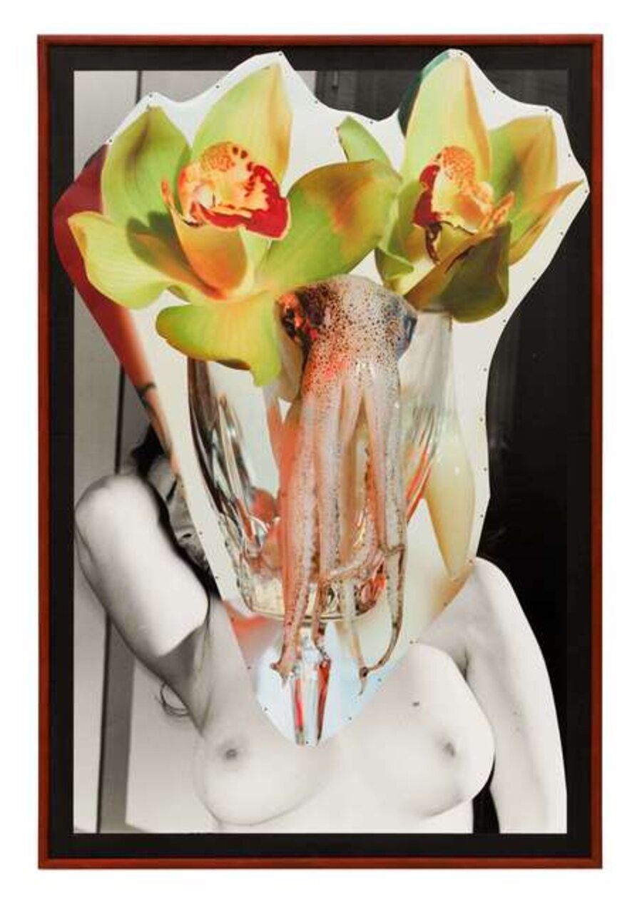 Passions Bloom Ambitions - 43