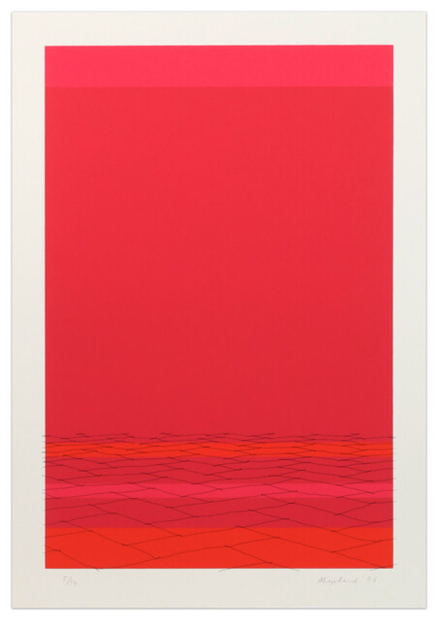Wire, Wood Floor on Tall Pink