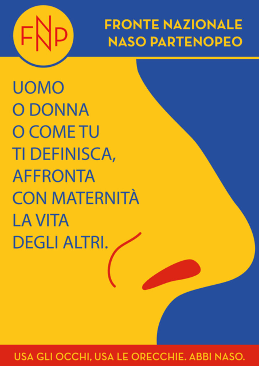 FNNP (leaflet)