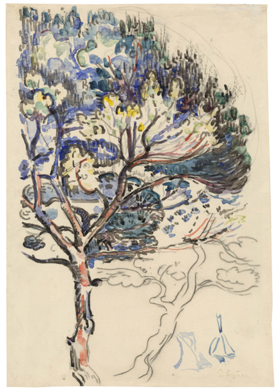 Le Pin, Study for Anitbes, La Salis
