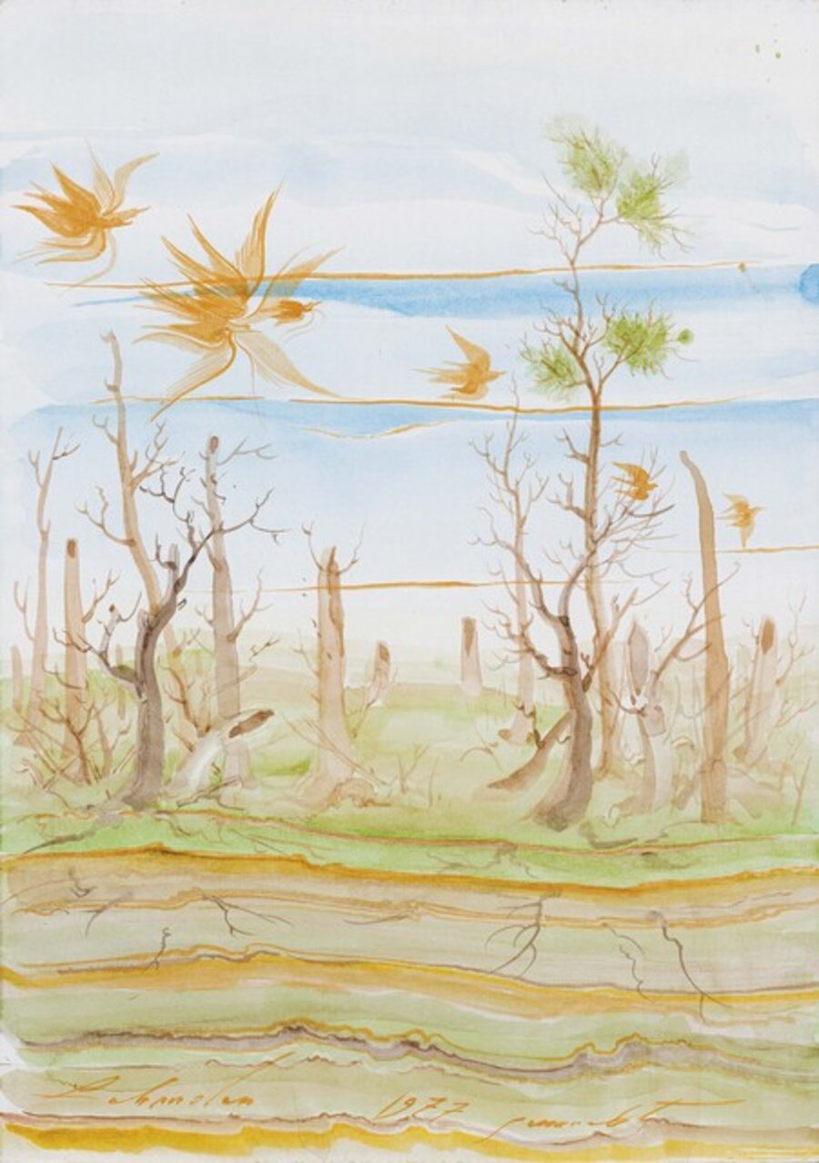 Vögel in karger Landschaft