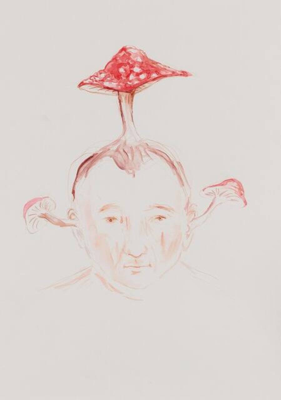 Toadstool-face
