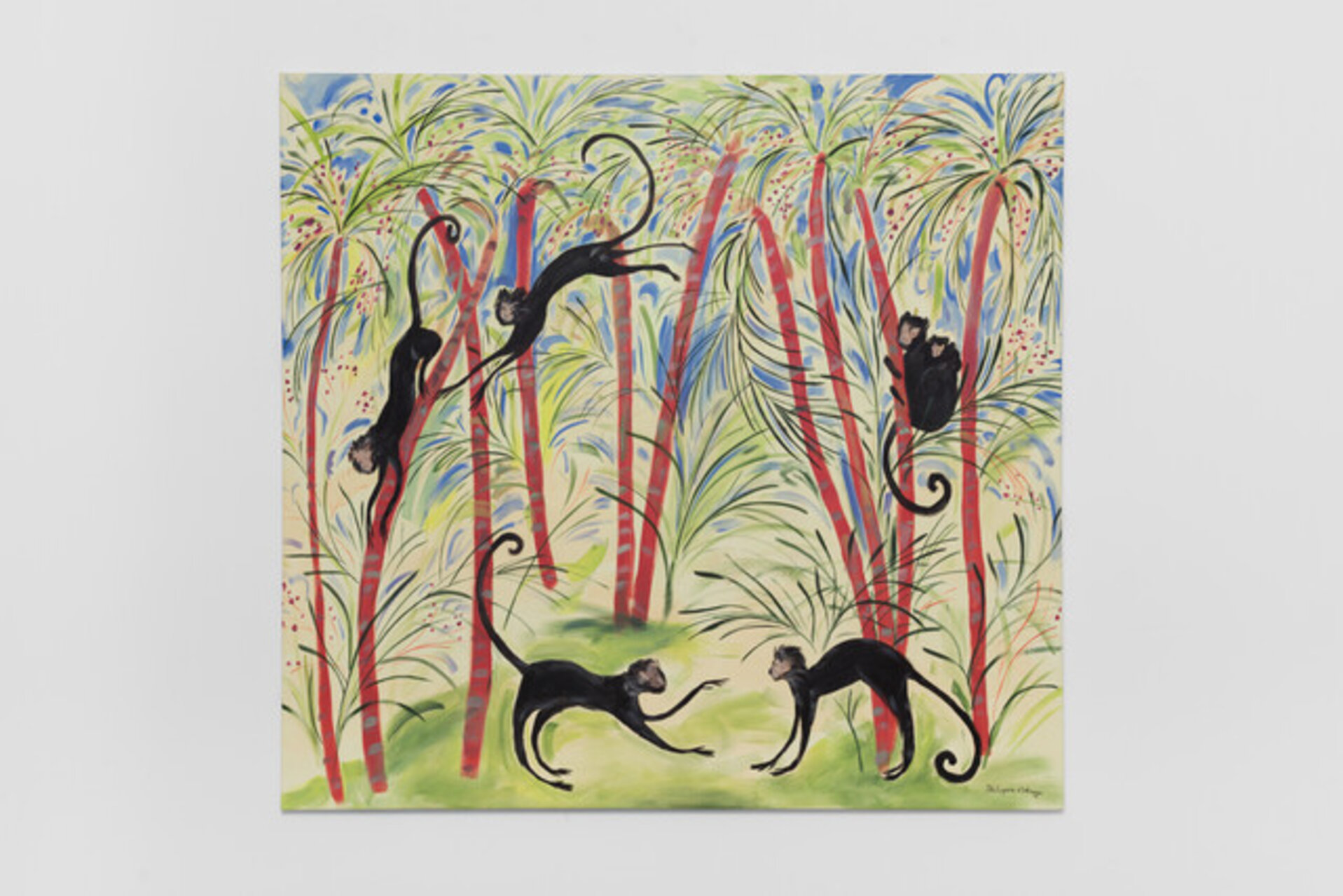 Les Singes dans les Acai
