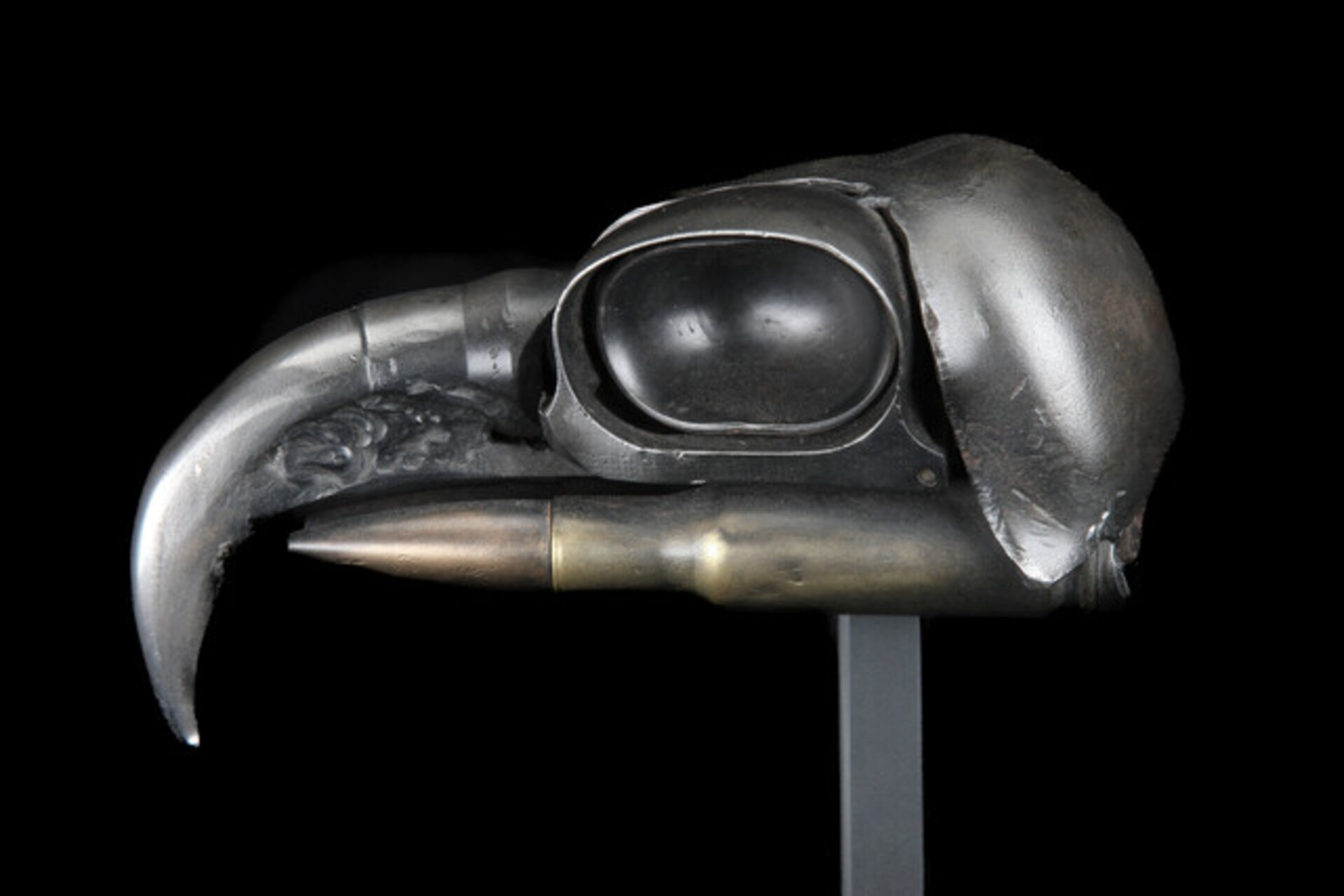 Eagle Skull