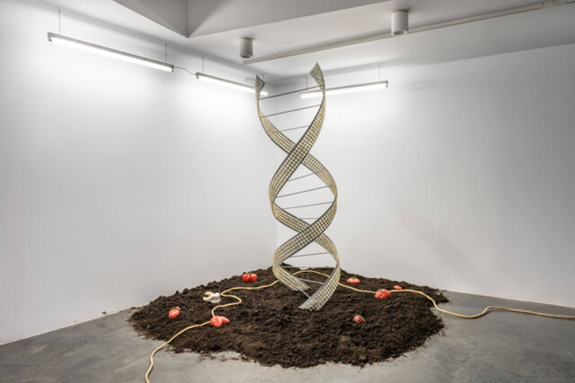 Synthetic Genesis