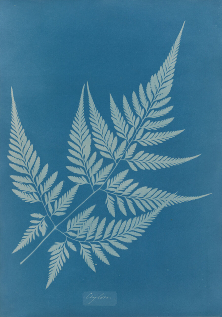 Ceylon