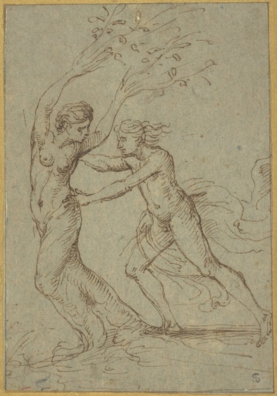 Apollo and Daphne
