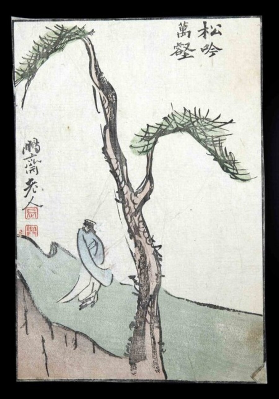 Scholar Beneath a Pine Tree