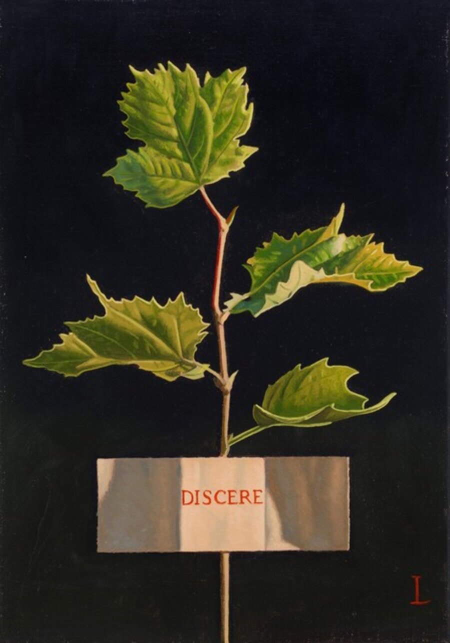 DISCERE (To Learn)