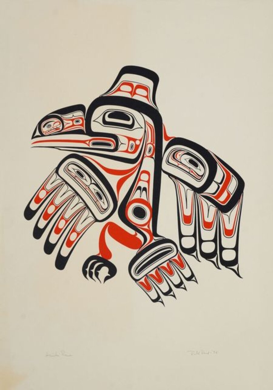 Haida Raven