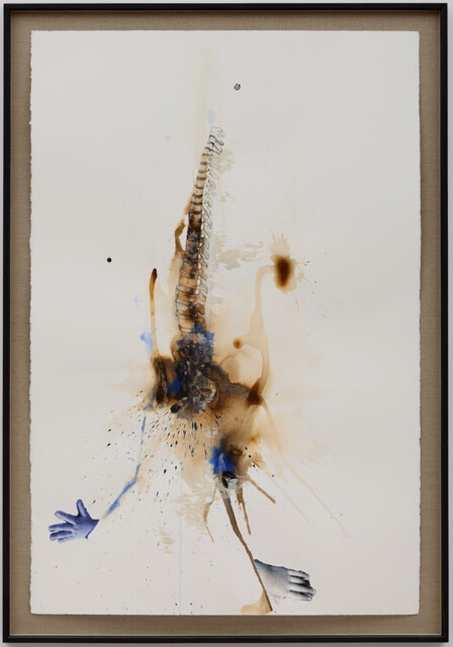 Spine