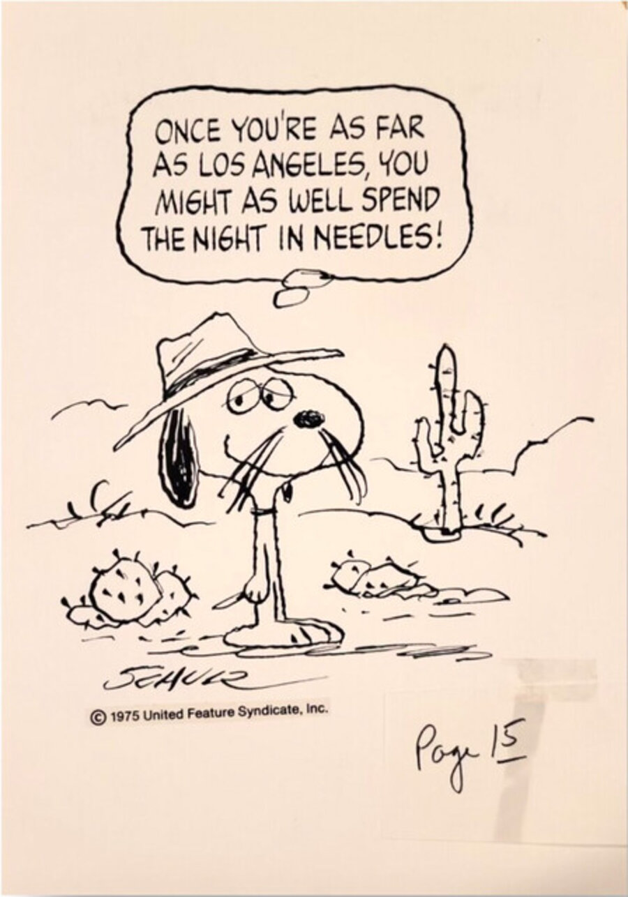 Spike in the California Desert