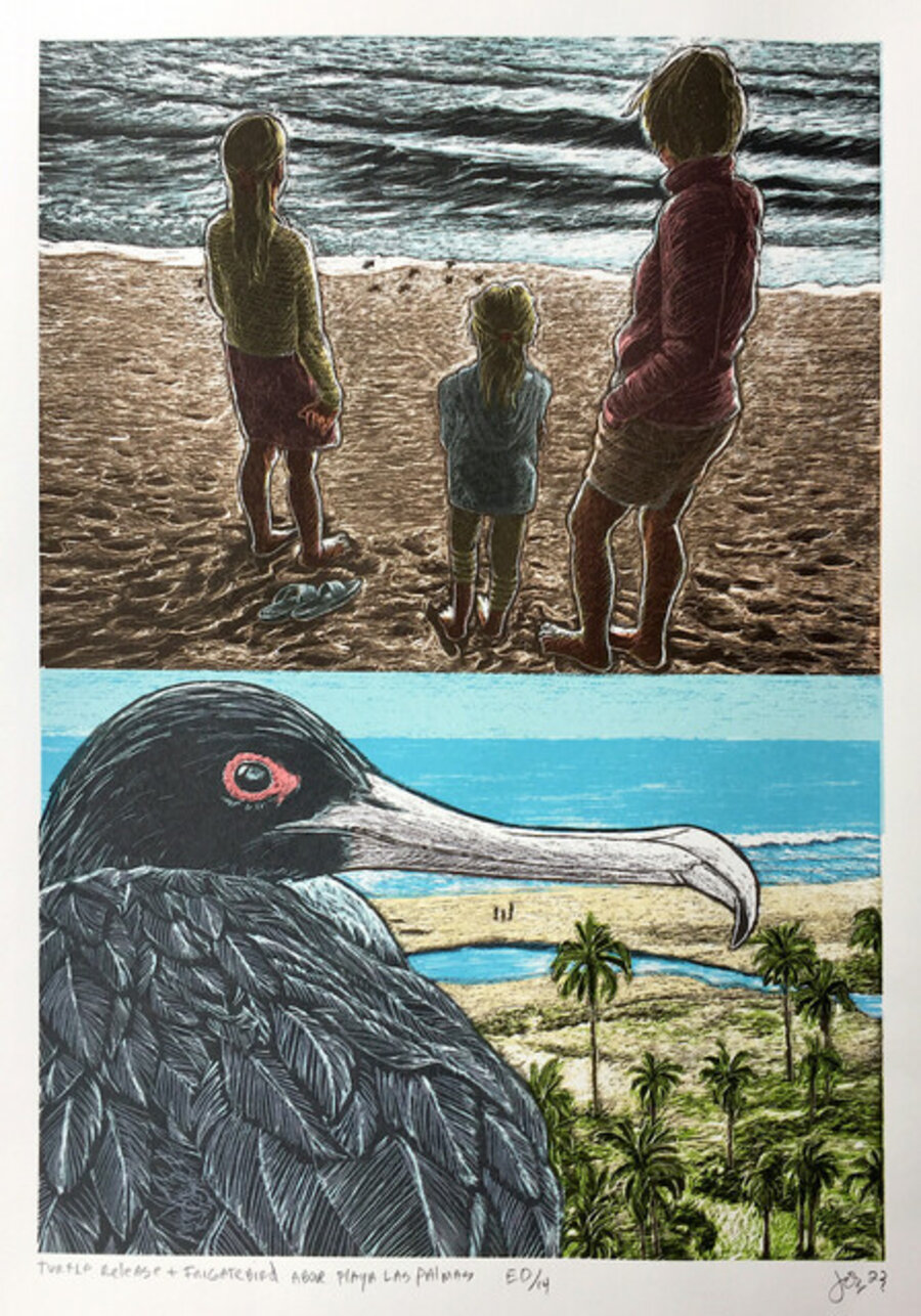 Turtle Release and Frigatebird above Playa las Palmas